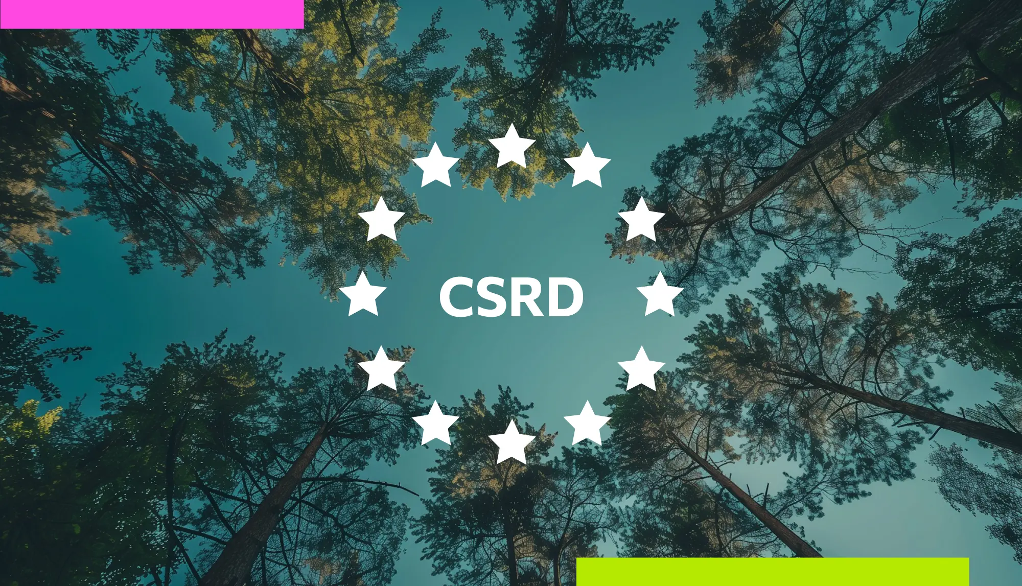 directiva-CSRD-03.webp